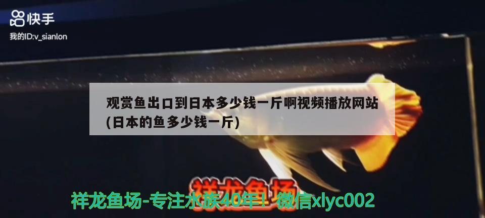 觀賞魚出口到日本多少錢一斤啊視頻播放網(wǎng)站(日本的魚多少錢一斤) 觀賞魚進(jìn)出口