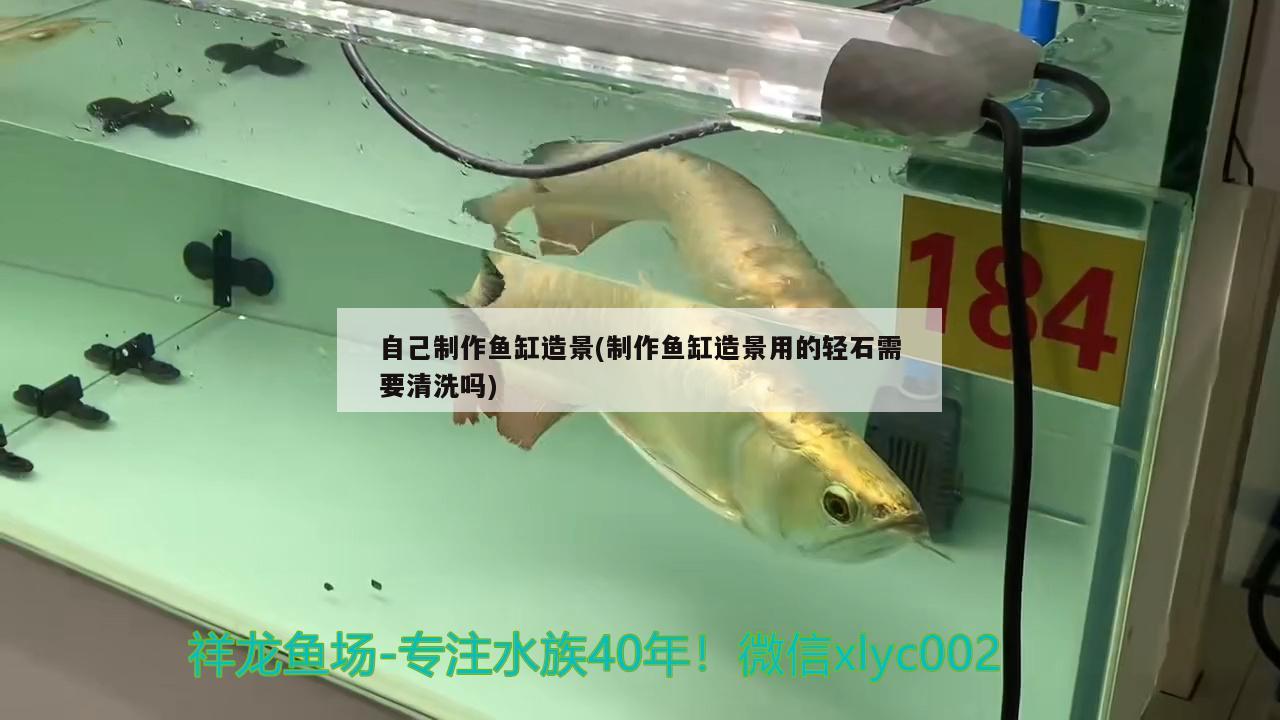 白銀龍魚圖片高清圖大全 龍魚999足銀是純銀嗎