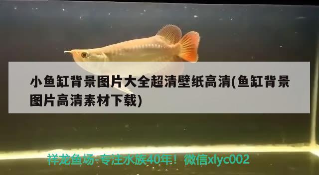 小魚缸背景圖片大全超清壁紙高清(魚缸背景圖片高清素材下載) iwish愛(ài)唯希品牌魚缸