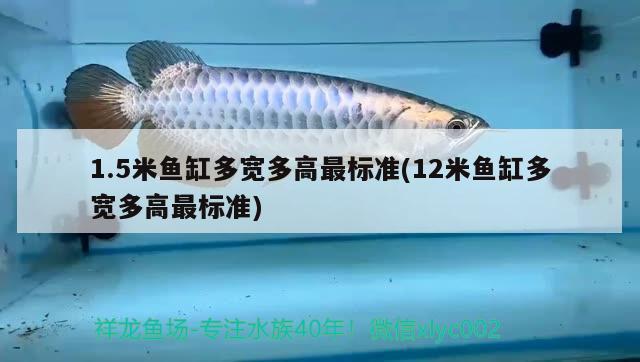 1.5米魚(yú)缸多寬多高最標(biāo)準(zhǔn)(12米魚(yú)缸多寬多高最標(biāo)準(zhǔn)) 翡翠鳳凰魚(yú)