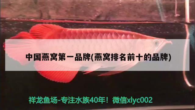 觀賞魚進(jìn)口公司有哪些品牌的產(chǎn)品名稱是(進(jìn)口魚具品牌) 觀賞魚進(jìn)出口