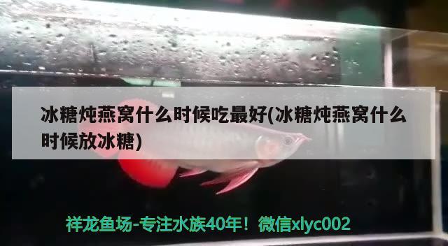 冰糖燉燕窩什么時候吃最好(冰糖燉燕窩什么時候放冰糖) 馬來西亞燕窩