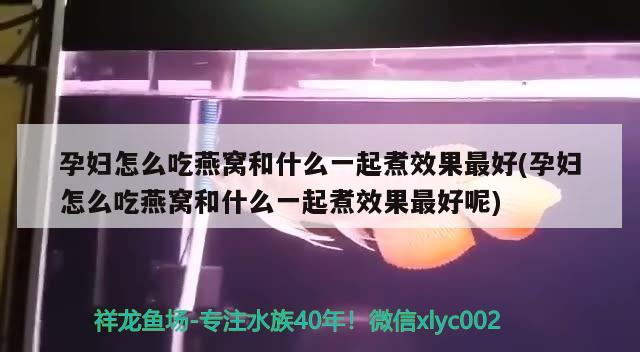 魚缸渾濁的水變清的三種方法（魚缸的水總是渾濁不清,做好5個(gè)方面,很快就清清澈澈）