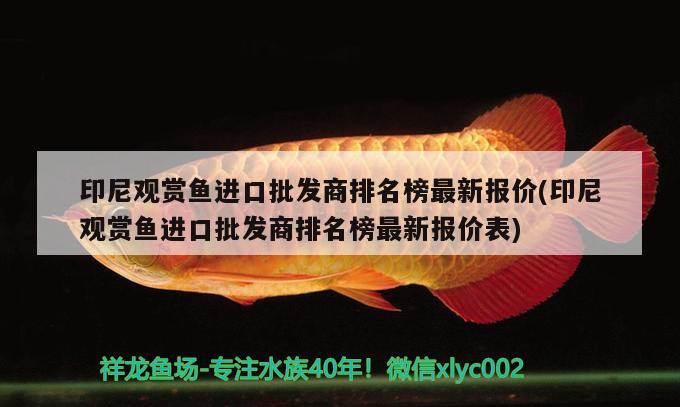 岳陽(yáng)水族館以前很討厭這種體型不知道為什么現(xiàn)在特別喜歡可能是因?yàn)樗F吧