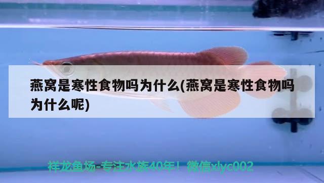 記錄八個月的變化 水族燈（魚缸燈） 第2張