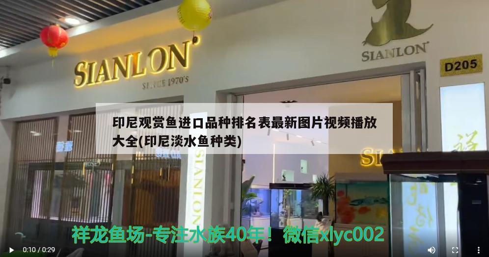 印尼觀賞魚進口品種排名表最新圖片視頻播放大全(印尼淡水魚種類)