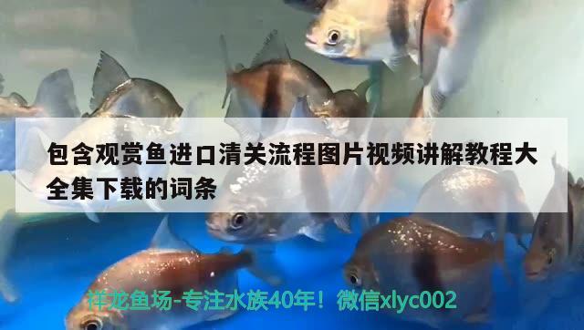 包含觀賞魚進(jìn)口清關(guān)流程圖片視頻講解教程大全集下載的詞條 觀賞魚進(jìn)出口