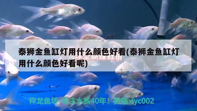 宜昌賣觀賞魚的地方有哪些公司在做：宜昌賣魚缸地方在哪