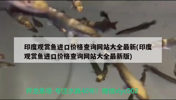 出售二手海鮮魚缸違法嗎：出售二手海鮮魚缸違法嗎知乎 廣州水族批發(fā)市場 第2張