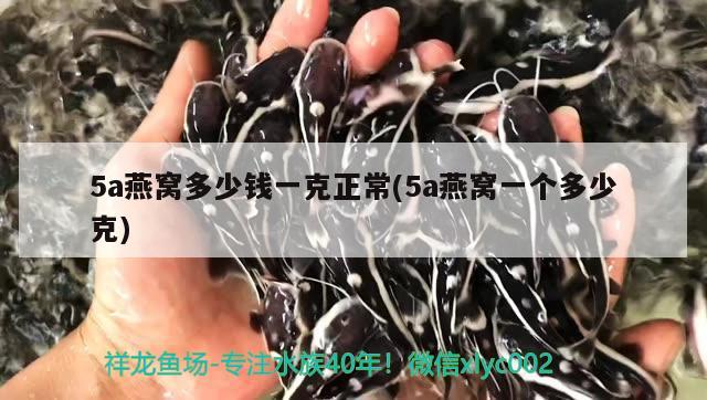 5a燕窩多少錢一克正常(5a燕窩一個(gè)多少克) 馬來西亞燕窩