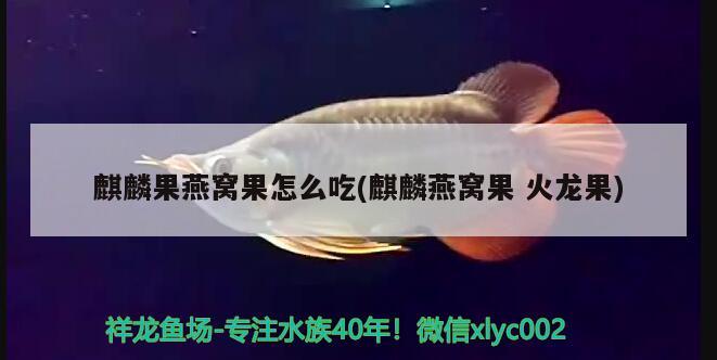 慶陽水族批發(fā)市場地址在哪里啊電話：慶陽周邊最近的水上樂園