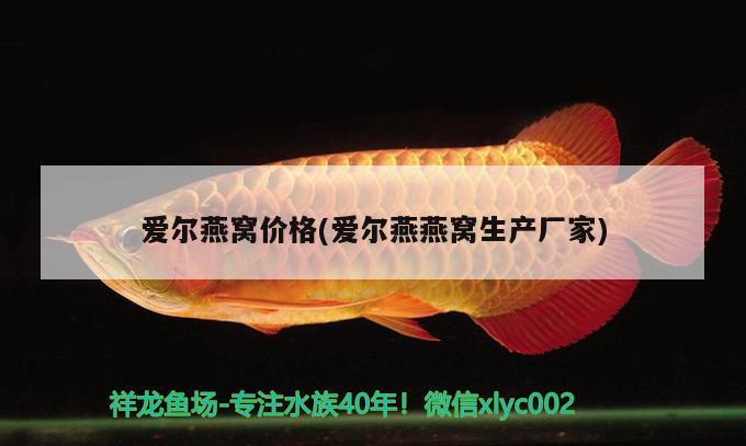 魚缸抽水泵壞了怎么修理視頻（魚缸里的抽水泵能修好嗎） 其他品牌魚缸 第2張