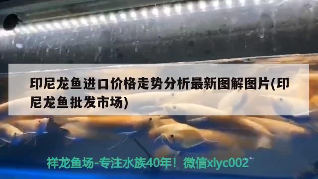 什么是熱彎魚缸 魚缸水質(zhì)穩(wěn)定劑 第1張