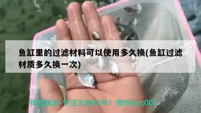 魚缸里的過濾材料可以使用多久換(魚缸過濾材質(zhì)多久換一次) 細線銀板魚苗