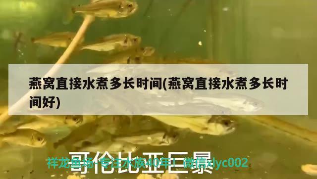 魚缸換水要曬幾天及魚缸換水自來水要曬幾天太陽魚缸換水，魚缸換水自來水要曬幾天 羽毛刀魚苗 第2張