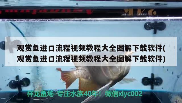 魚缸換水要曬幾天及魚缸換水自來水要曬幾天太陽魚缸換水，魚缸換水自來水要曬幾天 羽毛刀魚苗 第1張