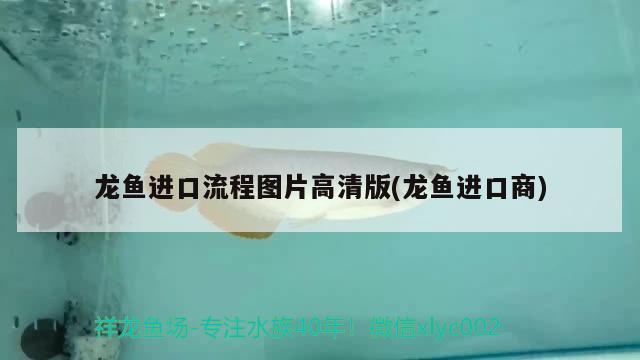 龍魚進口流程圖片高清版(龍魚進口商) 觀賞魚進出口