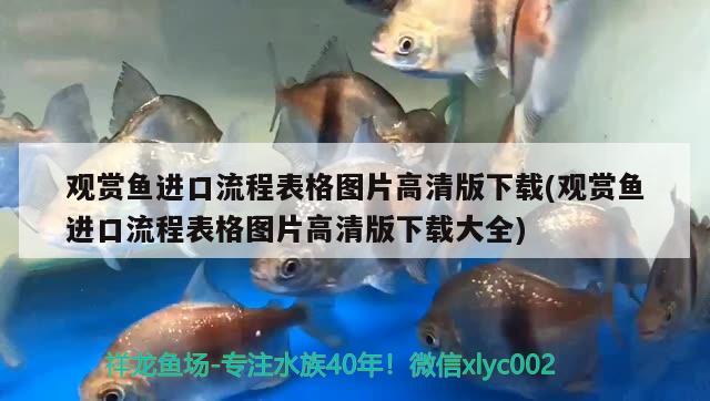 觀賞魚進(jìn)口流程表格圖片高清版下載(觀賞魚進(jìn)口流程表格圖片高清版下載大全) 觀賞魚進(jìn)出口