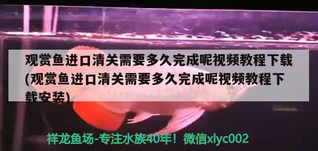 魚缸墻面設計效果圖片（墻體嵌入式魚缸怎么放魚） 月光鴨嘴魚苗 第2張