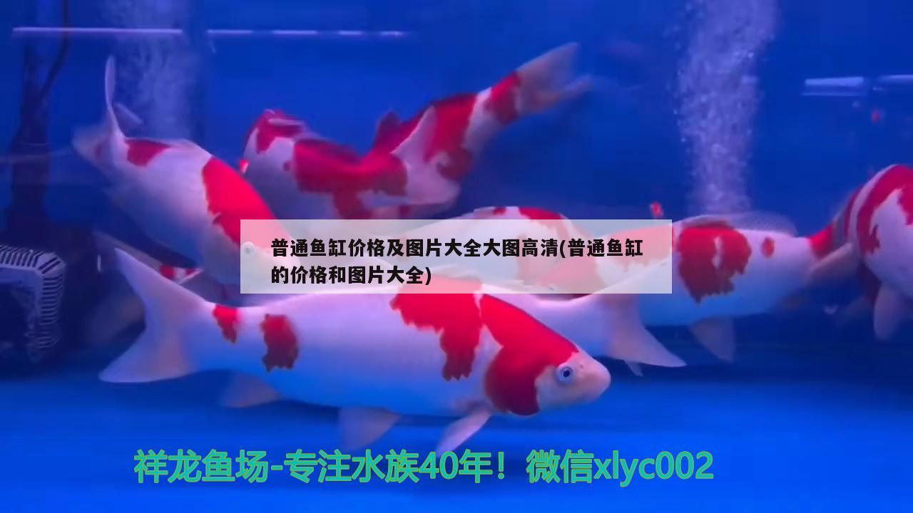 普通魚缸價(jià)格及圖片大全大圖高清(普通魚缸的價(jià)格和圖片大全) 馬拉莫寶石魚苗