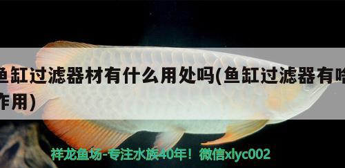 圓玻璃魚缸怎樣給魚制造氧氣視頻講解（圓玻璃魚缸怎樣給魚制造氧氣視頻講解教程） 充氧泵 第3張