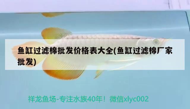 魚缸過濾棉批發(fā)價格表大全(魚缸過濾棉廠家批發(fā)) 觀賞魚企業(yè)目錄