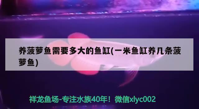 圓玻璃魚缸怎樣給魚制造氧氣視頻講解（圓玻璃魚缸怎樣給魚制造氧氣視頻講解教程） 充氧泵 第1張