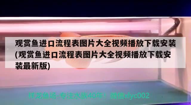 怒江傈僳族自治州觀賞魚市場薩伊繁殖:第二天 觀賞魚市場（混養(yǎng)魚） 第2張