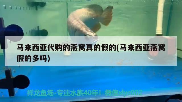 銅陵彩鰈魚缸專賣店(銅陵采砂船近期情況) 彩鰈魚缸（彩蝶魚缸） 第1張