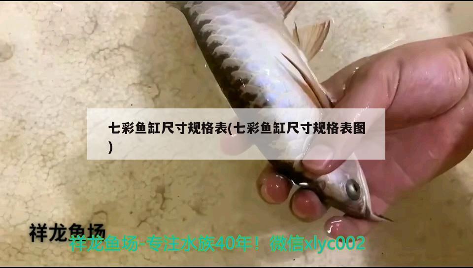 七彩魚缸尺寸規(guī)格表(七彩魚缸尺寸規(guī)格表圖)