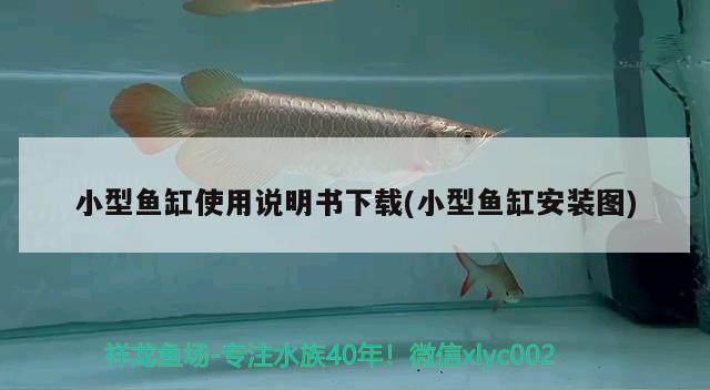 陽臺適合放魚缸嗎？風水好不好呀陽臺適合放魚缸嗎？，陽臺適合放魚缸嗎陽臺適合放魚缸嗎風水好不好呀 魚缸風水 第3張