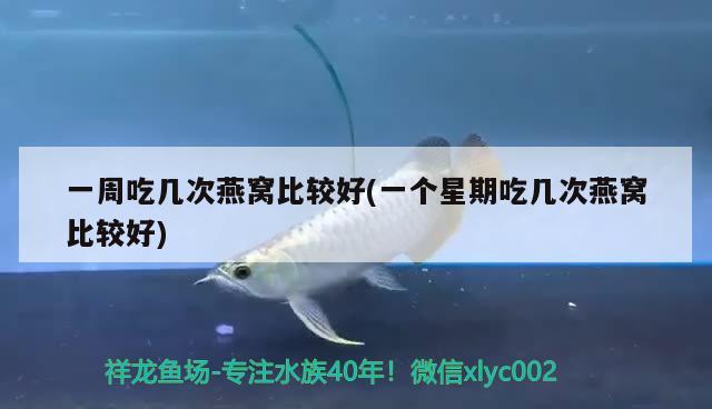 一周吃幾次燕窩比較好(一個(gè)星期吃幾次燕窩比較好) 馬來西亞燕窩