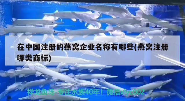 在中國注冊的燕窩企業(yè)名稱有哪些(燕窩注冊哪類商標) 馬來西亞燕窩