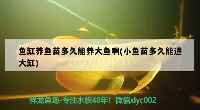 中國(guó)50品牌魚(yú)缸有哪些？，2022-11-01中國(guó)50品牌魚(yú)缸