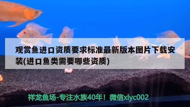 紅龍魚的飼養(yǎng)方法，紅龍魚怎么養(yǎng)怎么養(yǎng)紅龍魚