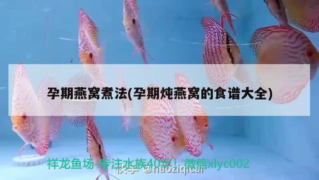 武清魚缸修理店電話(武清區(qū)哪里有賣魚缸的)