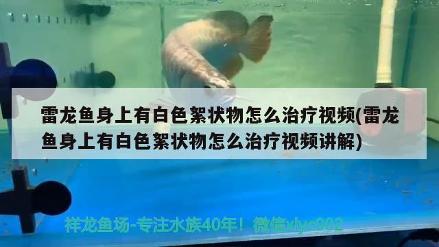 長春魚缸維修哪家好啊多少錢啊 長春魚缸清洗服務 和興紅龍