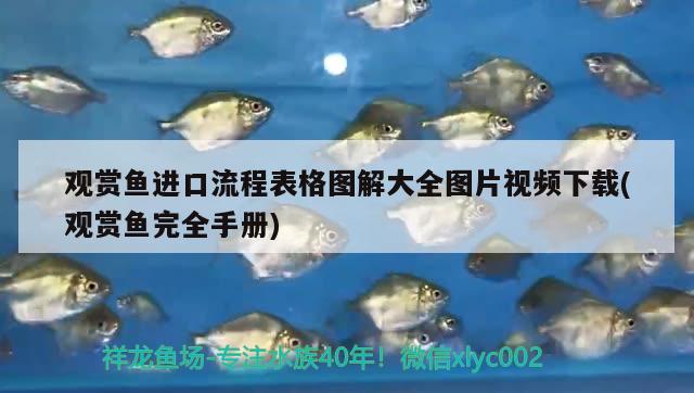 觀賞魚(yú)進(jìn)口流程表格圖解大全圖片視頻下載(觀賞魚(yú)完全手冊(cè)) 觀賞魚(yú)進(jìn)出口 第2張