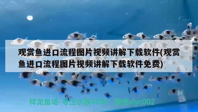 魚缸沙子怎么清洗視頻講解（魚缸的led燈管壞了怎么修） 廣州水族批發(fā)市場(chǎng) 第2張