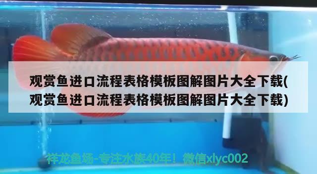 魚缸柜子怎么安裝視頻講解（魚缸柜組裝視頻教程） 文玩 第1張