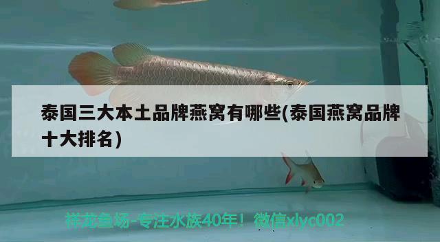 泰國三大本土品牌燕窩有哪些(泰國燕窩品牌十大排名) 馬來西亞燕窩