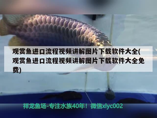 觀賞魚進(jìn)口流程視頻講解圖片下載軟件大全(觀賞魚進(jìn)口流程視頻講解圖片下載軟件大全免費(fèi)) 觀賞魚進(jìn)出口