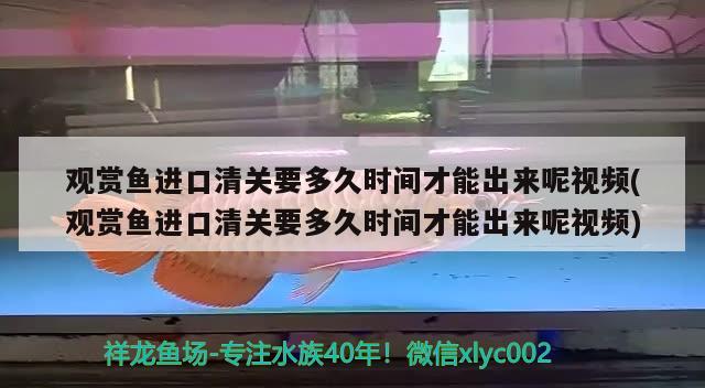 觀賞魚進(jìn)口清關(guān)要多久時間才能出來呢視頻(觀賞魚進(jìn)口清關(guān)要多久時間才能出來呢視頻) 觀賞魚進(jìn)出口