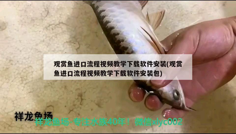 觀賞魚進(jìn)口流程視頻教學(xué)下載軟件安裝(觀賞魚進(jìn)口流程視頻教學(xué)下載軟件安裝包) 觀賞魚進(jìn)出口