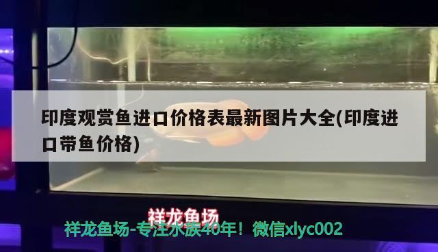 魚缸換水后水發(fā)白霧蒙蒙的多久能好?。呼~缸換水后水發(fā)白怎么回事