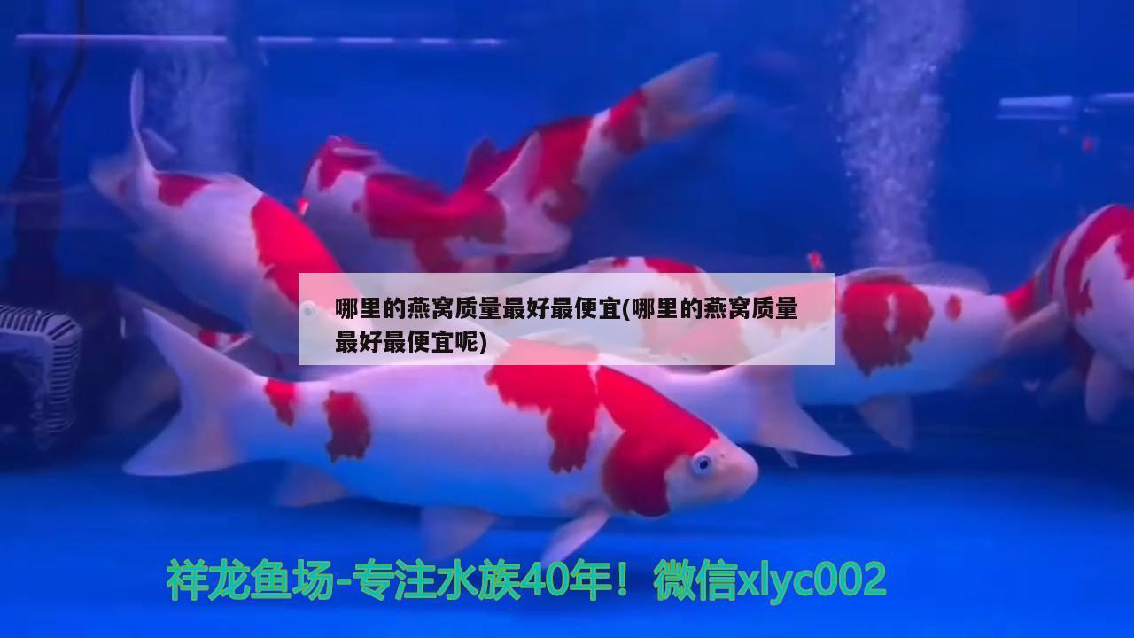 魚(yú)缸水草的放置技巧及注意事項(xiàng)選擇合適的水草確定水草確定水草，魚(yú)缸水草的放置技巧及注意事項(xiàng)