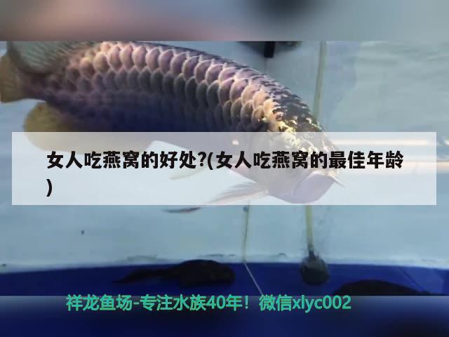 上海觀賞魚進(jìn)口商家有哪些品牌店鋪名稱(上海買觀賞魚的市場(chǎng))