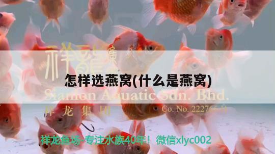 魚(yú)缸水草的放置技巧及注意事項(xiàng)選擇合適的水草確定水草確定水草，魚(yú)缸水草的放置技巧及注意事項(xiàng)