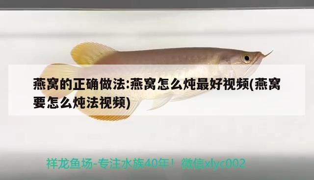 金龍魚大豆油五升多少錢（金龍魚大豆油五升多少錢一桶）