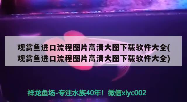 觀賞魚進(jìn)口流程圖片高清大圖下載軟件大全(觀賞魚進(jìn)口流程圖片高清大圖下載軟件大全) 觀賞魚進(jìn)出口